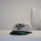 PWR SPLY | SGE MASCOT - BASEBALL CAP (BEACH & GREEN)