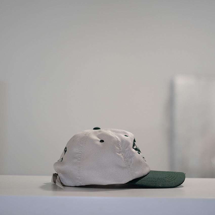 PWR SPLY | SGE MASCOT - BASEBALL CAP (BEACH & GREEN)